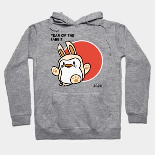 Hippity Hop! The Year of the Rabbit! Hoodie